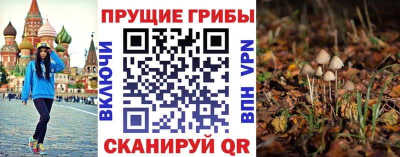 купить наркотик  kraken сайт  Галлюциногенные грибы MAGIC MUSHROOMS  Североуральск 